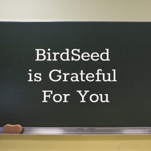 grateful bird